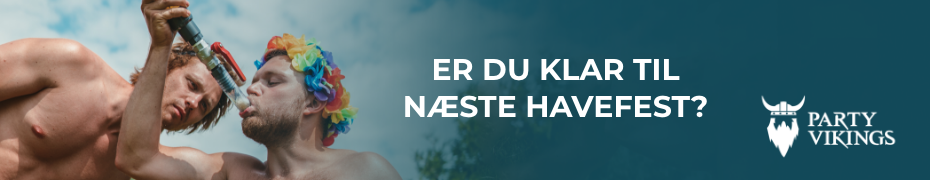 PartyVikings