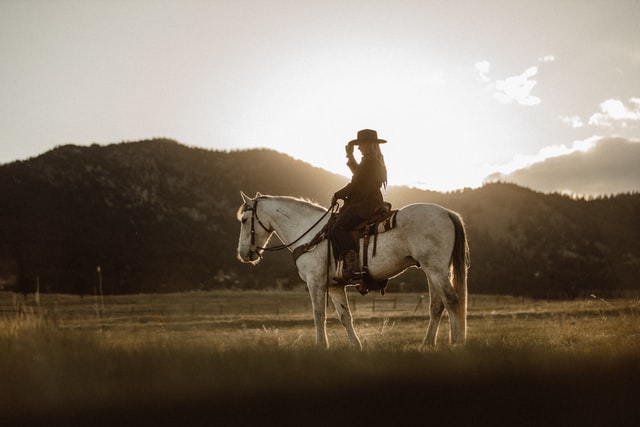 Cowboy & Sheriff